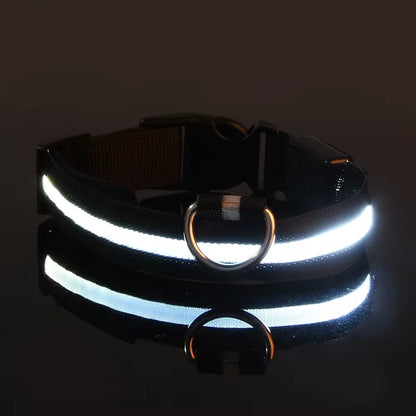 Dog Collar Nylon LED Night Safety Flashing Glow in the Dark Pet Dog Leash Pet Dogs Luminous Fluorescent Dog Accessories Collar